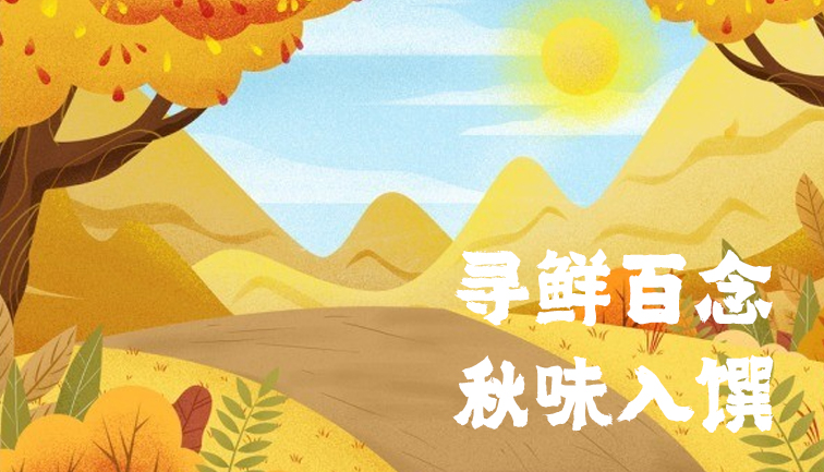 DB旗舰·(中国区)官方网站